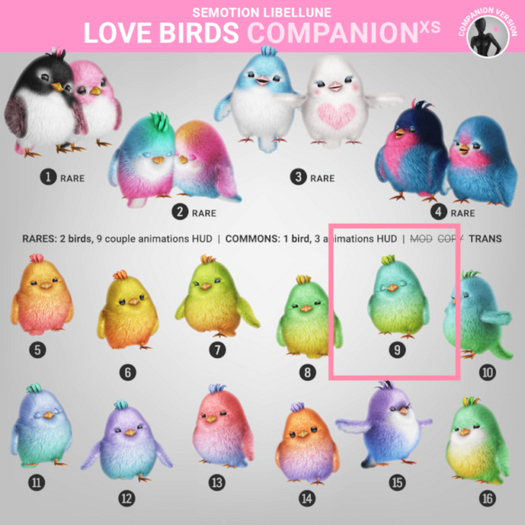 9. SEmotion Libellune Love Birds XS Companion