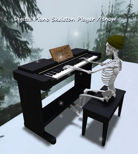 Digital Piano Skeleton Player / snow Box