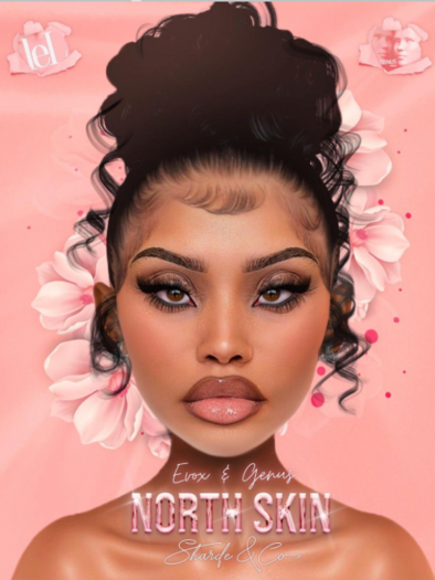SHARDE $ North Skin