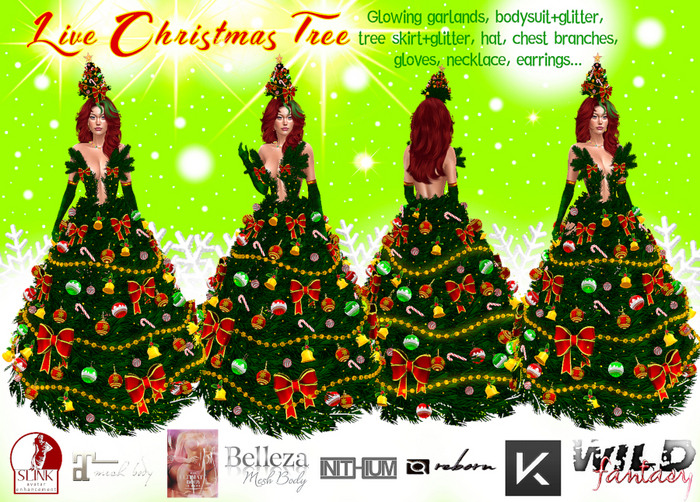 <WF>Live Christmas Tree