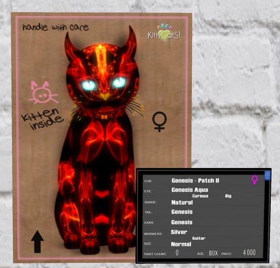 KittyCatS Box - HeLL-O-Kitteh! - faLLen AngeLS!