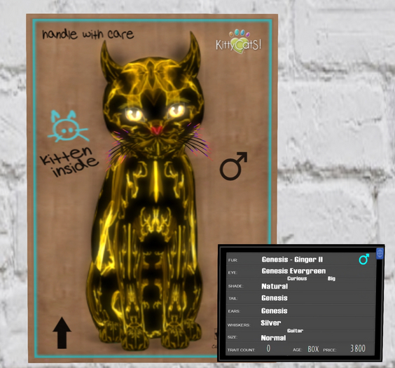 KittyCatS Box - HeLL-O-Kitteh! - faLLen AngeLS! - Purrrmeate