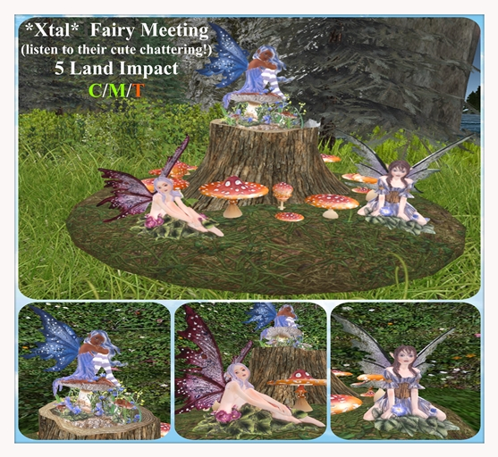 *Xtal* Fairy Meeting