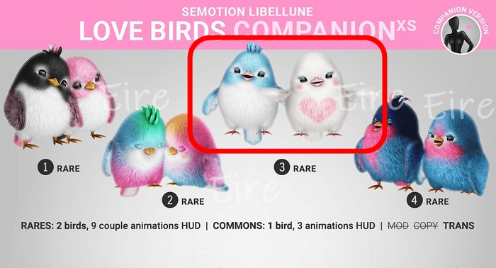 3. SEmotion Libellune Love Birds XS Companion RARE