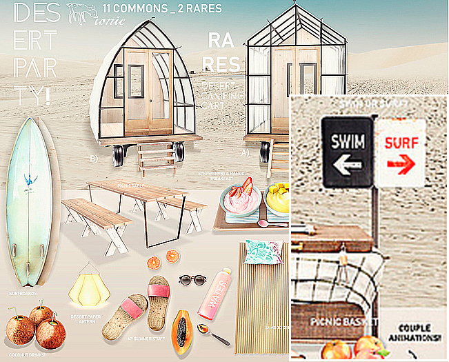 11 ionic : Swim or Surf?