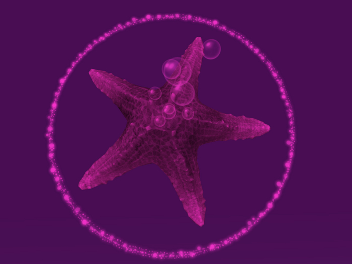 Papillon Starfish Tier 1 Diminutive/Normal, Gloomy Type B