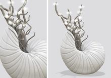 Dahlia - Fathoms - Shell In Vase - Grey 