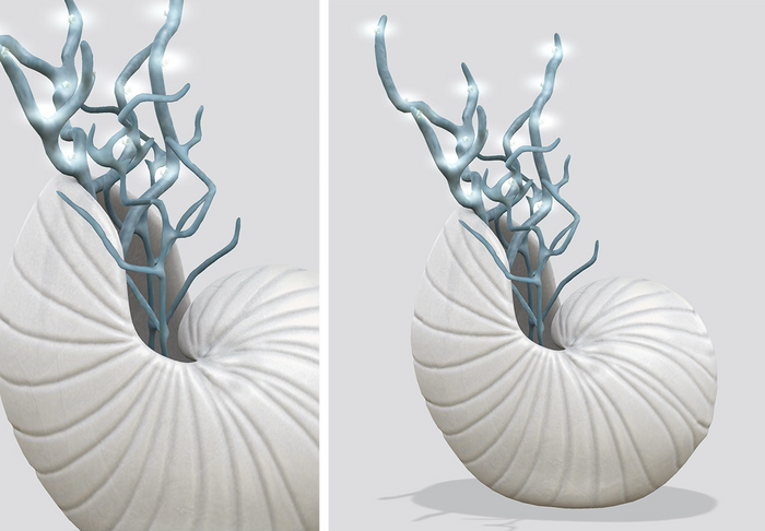 Dahlia - Fathoms - Shell In Vase - Blue