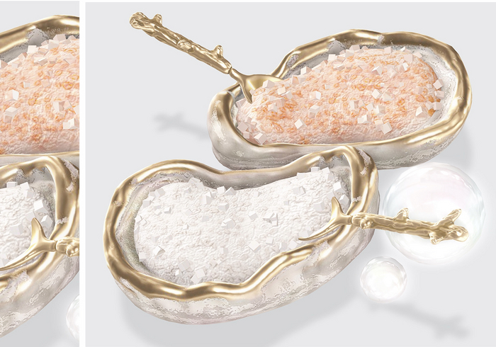 Dahlia - Fathoms - Salt In Shells 