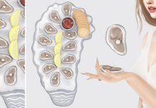 Dahlia - Fathoms - Oyster Tray Dispenser - guest server, wearable, holdable