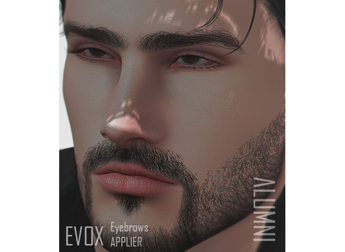 FULK BROWS DEMO