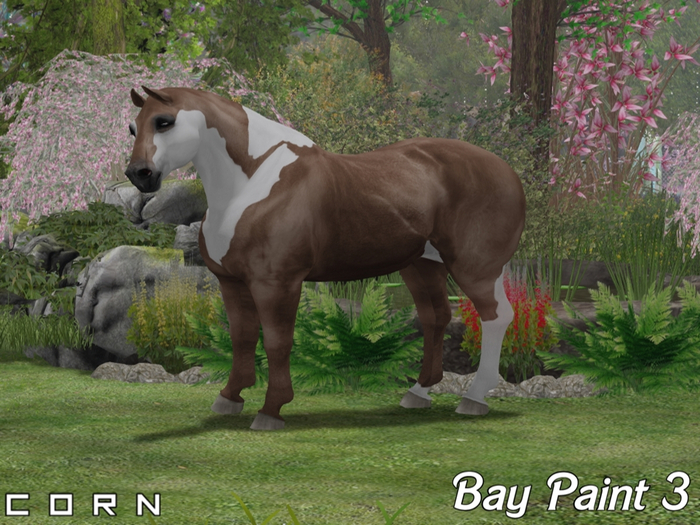 C O R N - Bay paint 3