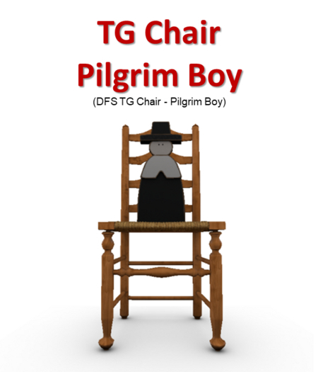 DFS TG Chair - Pilgrim Boy