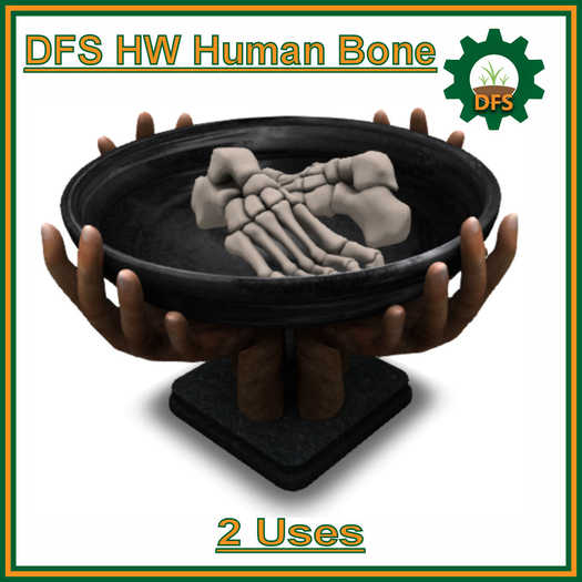 DFS HW Human Bone