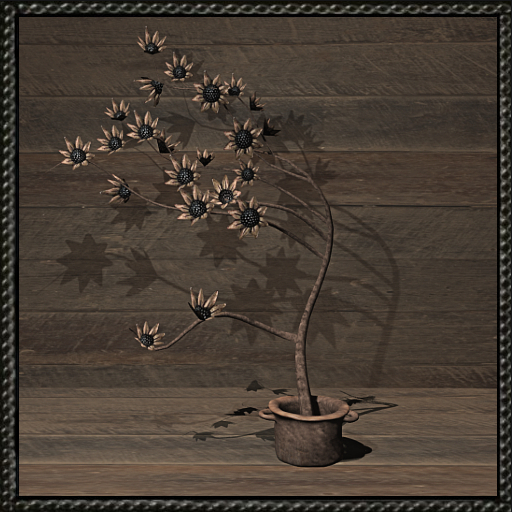 Cica's flower tree in a pot