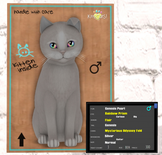 KittyCatS Box - Genesis - Pearl 3T