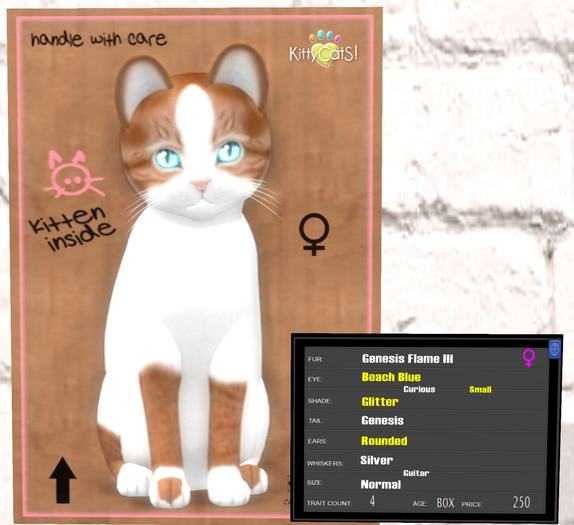 KittyCatS Box - Genesis - Flame III - 4T