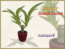 PLANT - Small Yucca (1 LI) (Full perm)