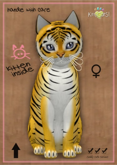 MEGAPUSS: KittyCatS Box - Tiger! - Golden Ticket - MegaPuss