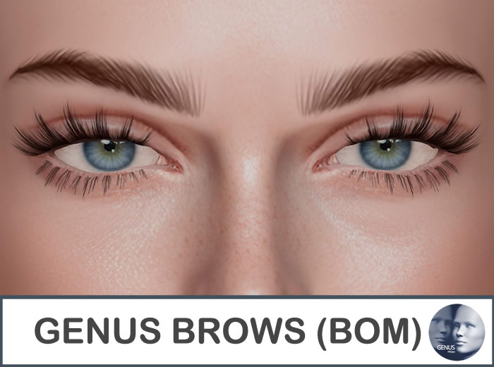 SVB - GENUS BROWS (BOM) & 4K