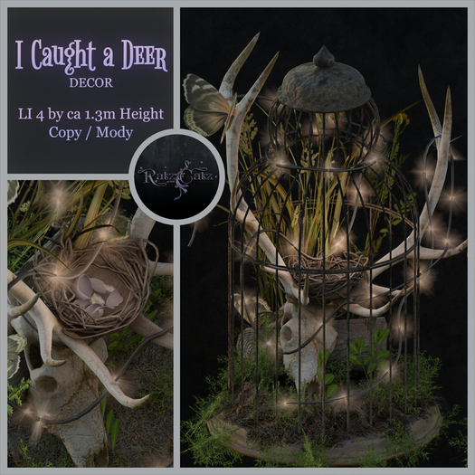 .: RatzCatz :. I caught a Deer - decor