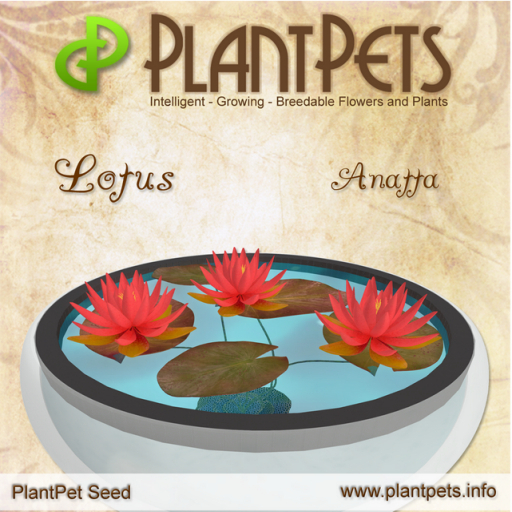 PlantPet Seed [Lotus *Anatta*]