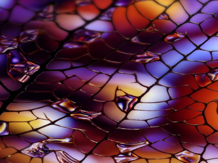 Abstract Web Texture