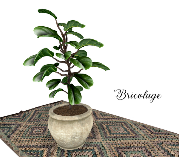 Bricolage Ficus Pot Plant & Kilim Pastel Rug