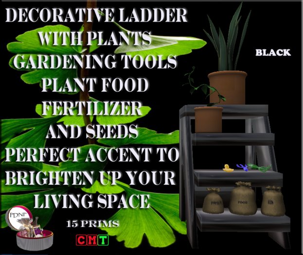 PDN: DECORATIVE LADDER BLACK BOXED
