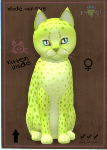 KittyCatS Box - Cheetah! - Lime No. 2