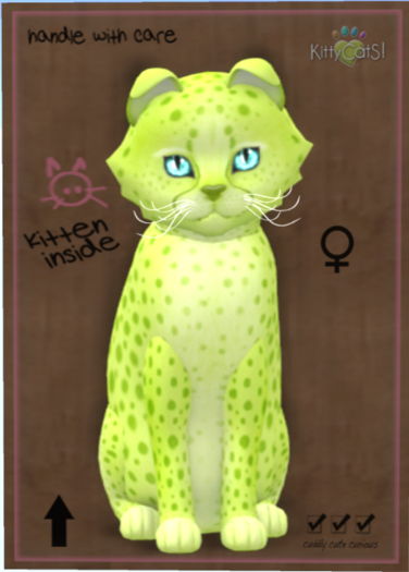 KittyCatS Box - Cheetah! - Lime No. 2