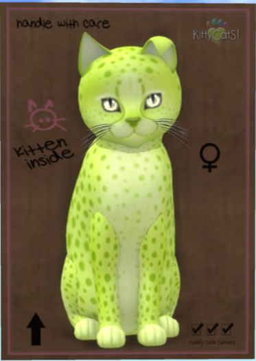 KittyCatS Box - Cheetah! - Lime No. 2