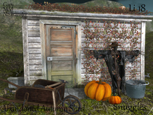 Abandoned Autumn Shed  By Snuggles Boxed