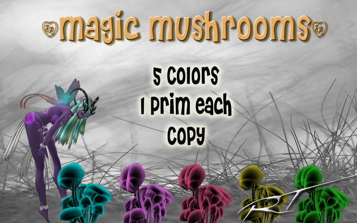 mushrooms for meeroos habitat 