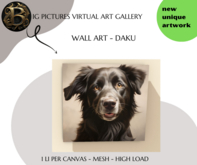 Big Pictures - Daku