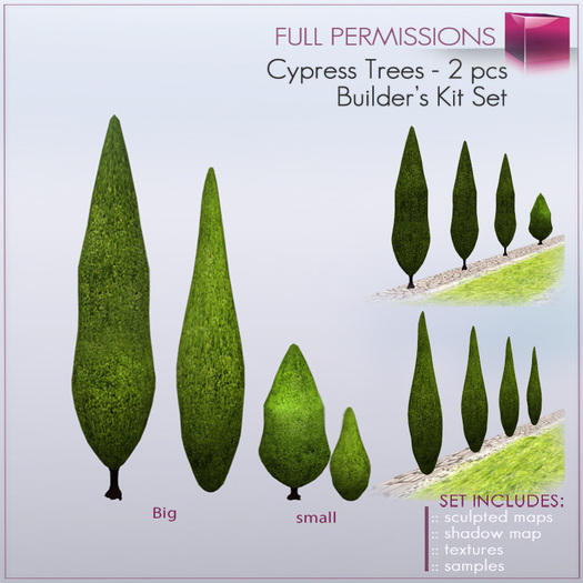 Cypress Tree 2 pcs -  Italian / Mediterranean Plants Builder's Kit Set