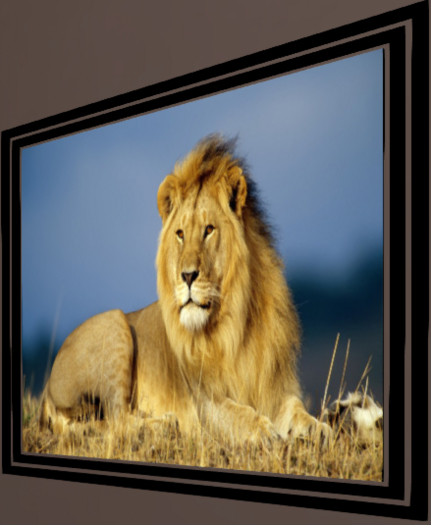 proud lion