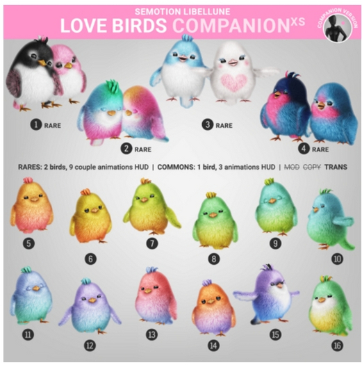 2. SEmotion Libellune Love Birds XS Companion RARE