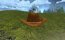 BROWN COWGIRL HAT