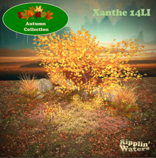 RW - Golden tree with rocks and shrubs *Xanthe* CM