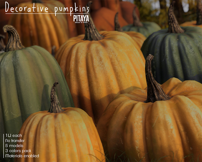 Pitaya - Decorative pumpkins - Fatpack.