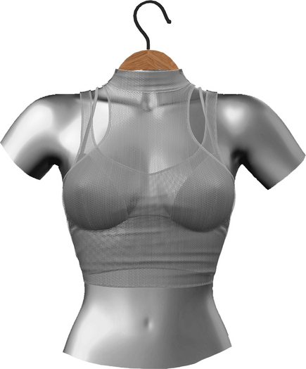 RIOT / Aneesa Crop - Silver