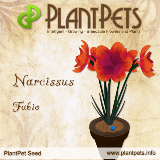 PlantPet Seed [Narcissus *Fabio*]