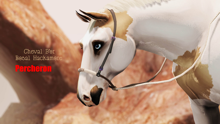 Cheval D'or / TeeglePet Percheron / Bosal Hackamore. [HUD]