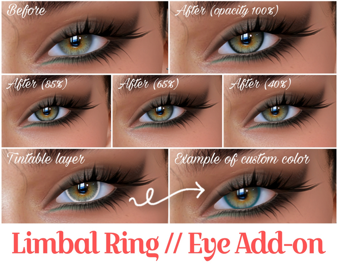 [Claire's] LIMBAL RING Eye Add-on for BOM Eyes