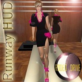 RODEO RUNWAY HUD 4.0