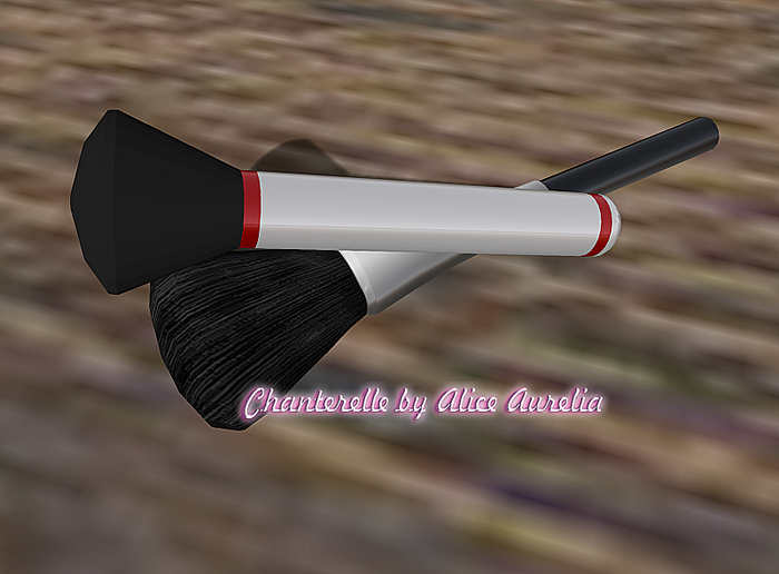 10. {Why Not?] Armine Makeup brushes