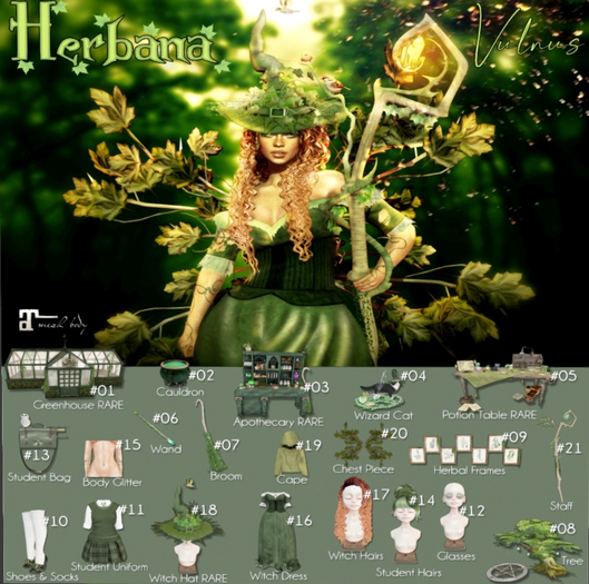 21. Witch Staff W AO HERBANA SET