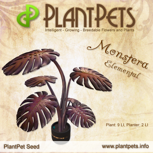 PlantPet Seed [Monstera *Elemental*] 
