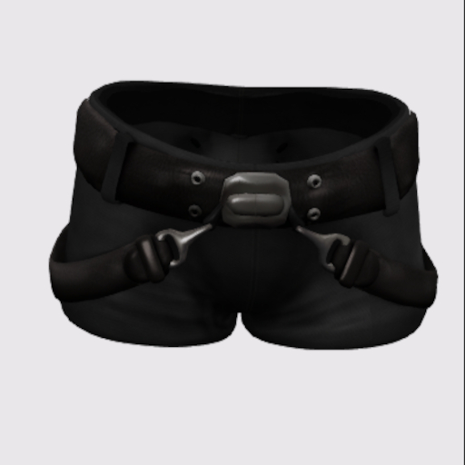 *Mesh Combat Shorts*